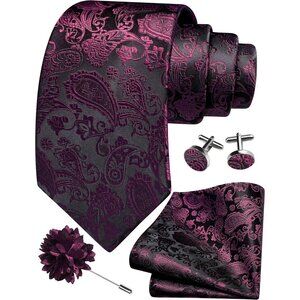 Men's Maroon Paisley Tie And Lapel Pin Necktie Hankerchief Cufflinks Set